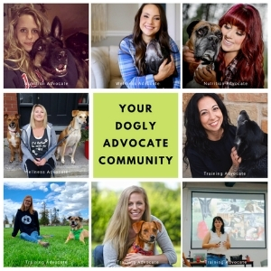 dogly_advocate_community_collage